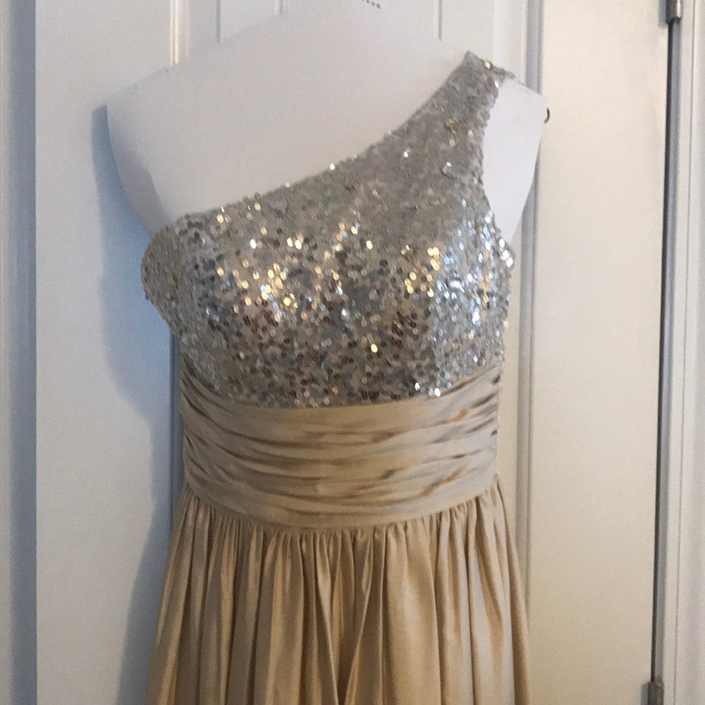 Gold with silver accent ball dress